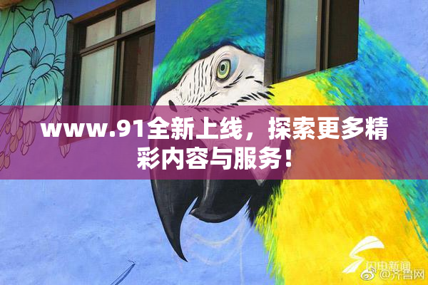 www.91全新上线，探索更多精彩内容与服务！