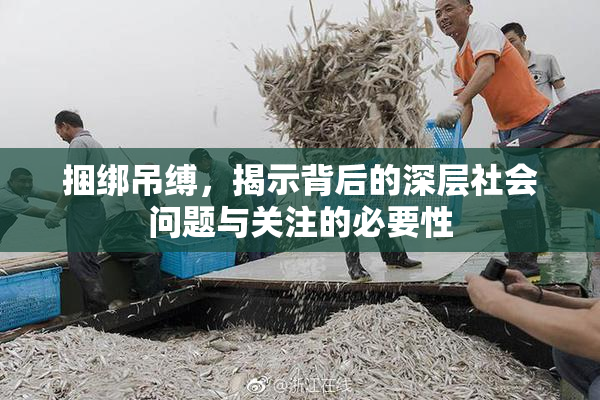 捆绑吊缚，揭示背后的深层社会问题与关注的必要性