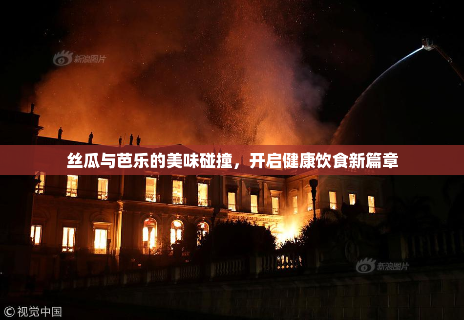 丝瓜与芭乐的美味碰撞，开启健康饮食新篇章