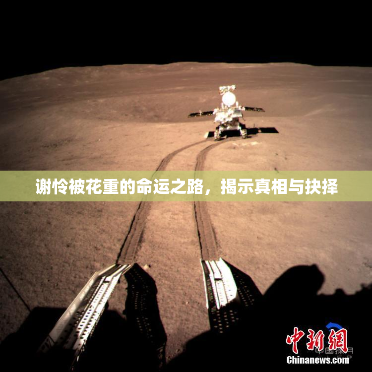 谢怜被花重的命运之路，揭示真相与抉择