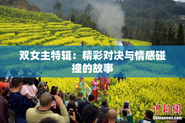 双女主特辑：精彩对决与情感碰撞的故事