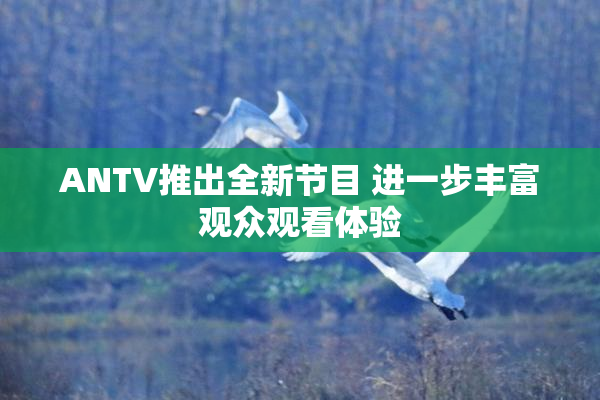 ANTV推出全新节目 进一步丰富观众观看体验