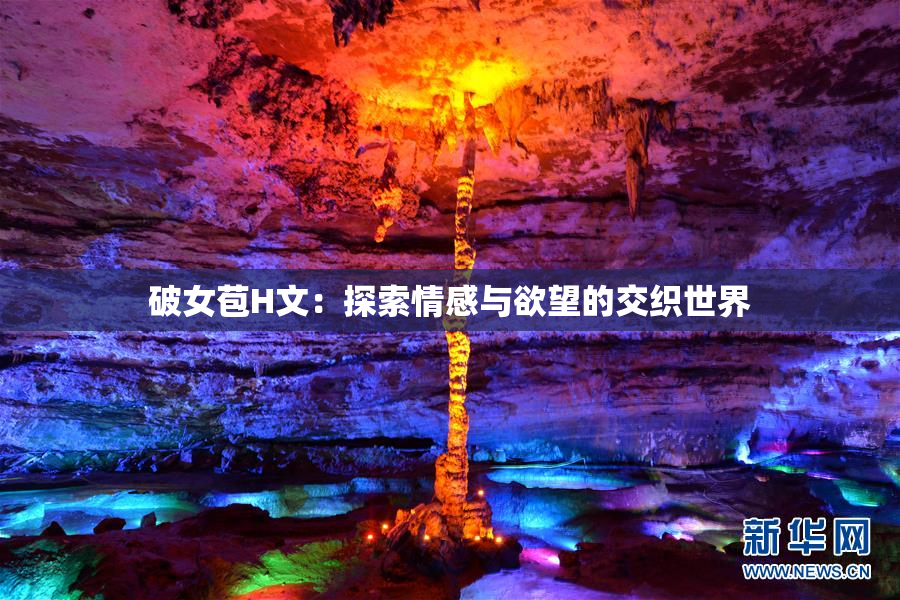 破女苞H文：探索情感与欲望的交织世界