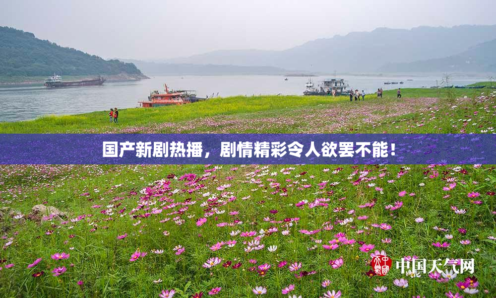 国产新剧热播，剧情精彩令人欲罢不能！