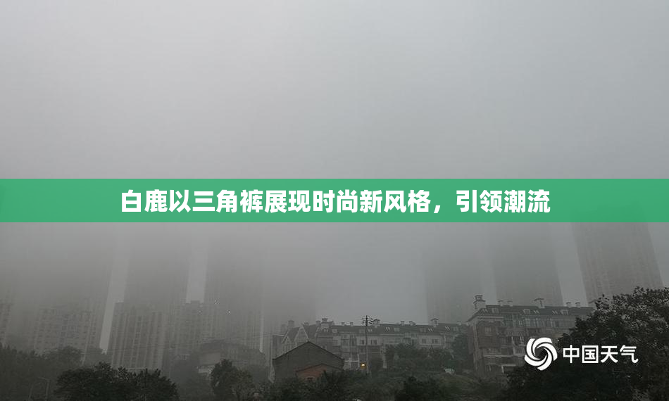 白鹿以三角裤展现时尚新风格，引领潮流