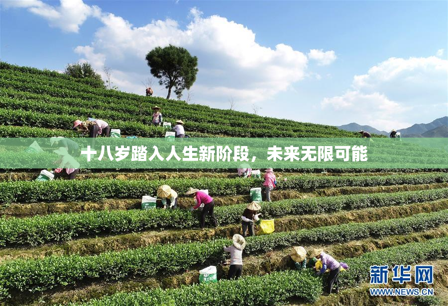 十八岁踏入人生新阶段，未来无限可能