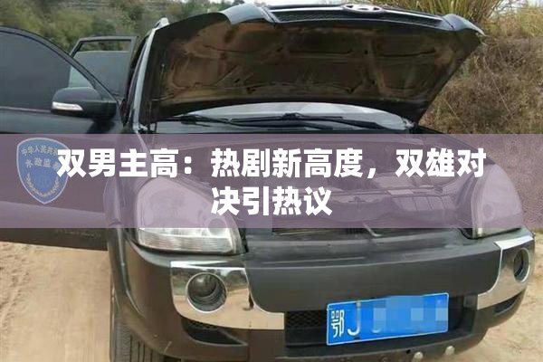 双男主高：热剧新高度，双雄对决引热议