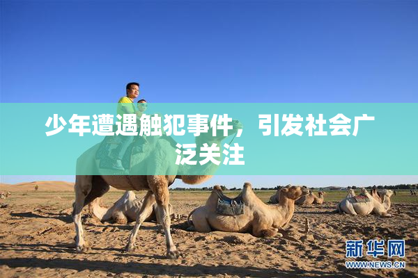 少年遭遇触犯事件，引发社会广泛关注