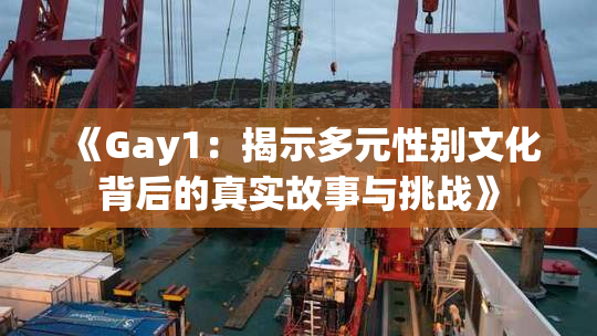 《Gay1：揭示多元性别文化背后的真实故事与挑战》