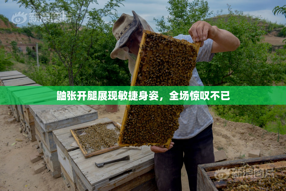 鼬张开腿展现敏捷身姿，全场惊叹不已