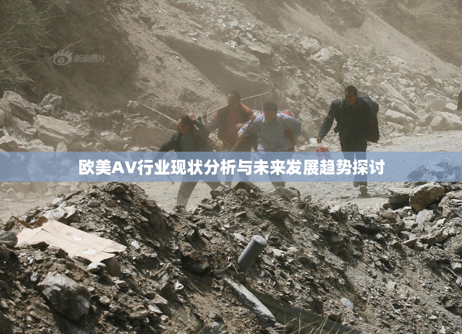 欧美AV行业现状分析与未来发展趋势探讨