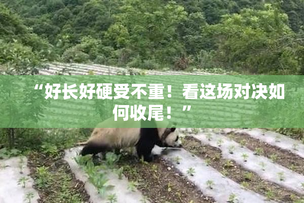 “好长好硬受不重！看这场对决如何收尾！”