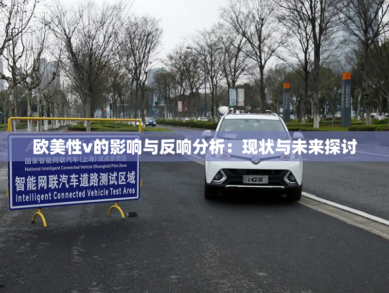 欧美性v的影响与反响分析：现状与未来探讨