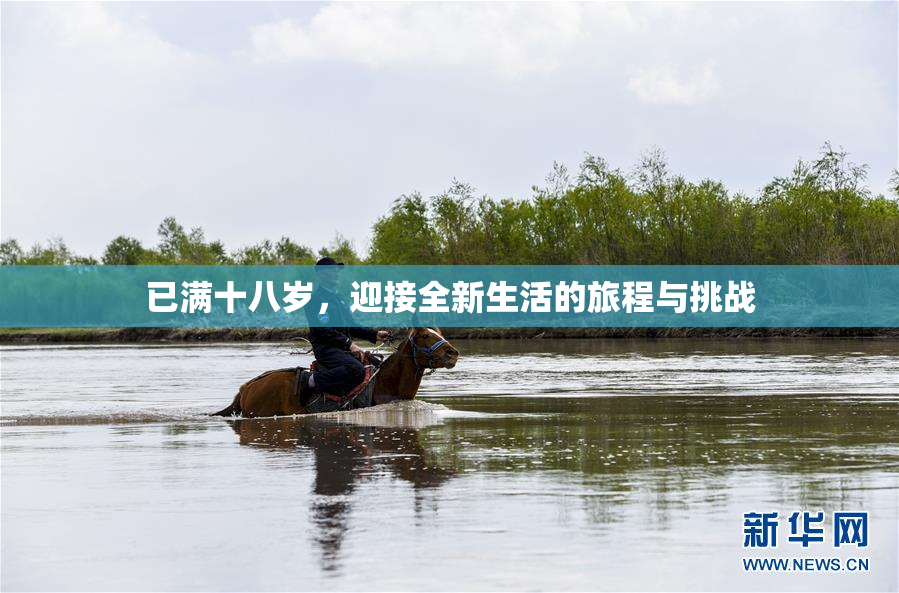 已满十八岁，迎接全新生活的旅程与挑战