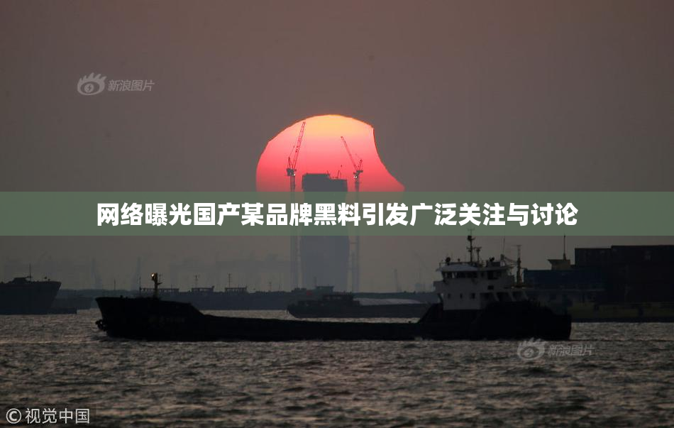 网络曝光国产某品牌黑料引发广泛关注与讨论