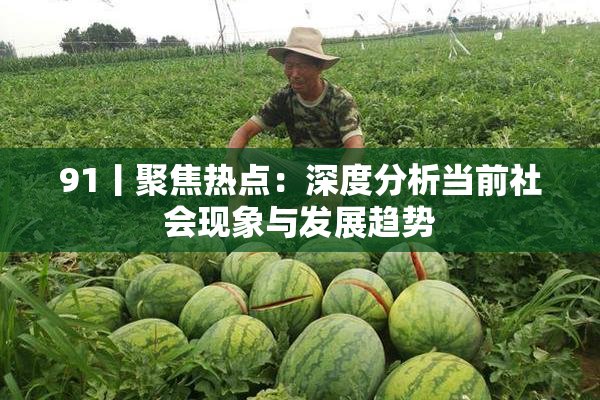 91丨聚焦热点：深度分析当前社会现象与发展趋势