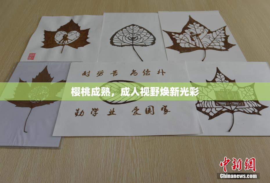 樱桃成熟，成人视野焕新光彩