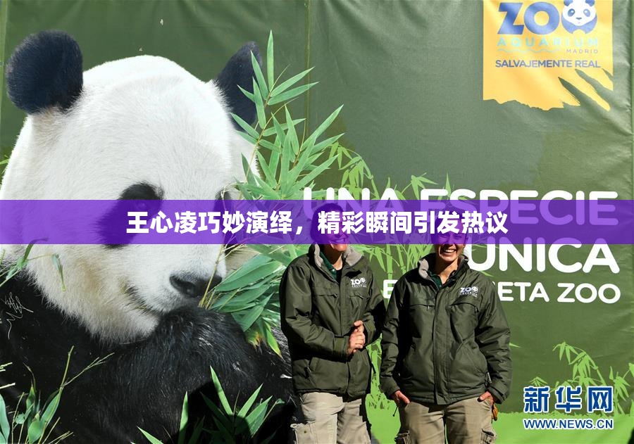 王心凌巧妙演绎，精彩瞬间引发热议