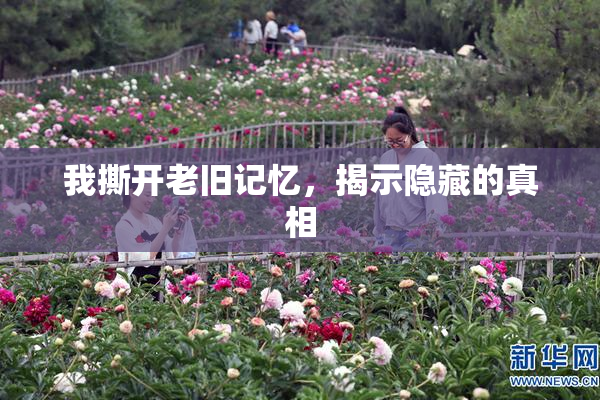我撕开老旧记忆，揭示隐藏的真相
