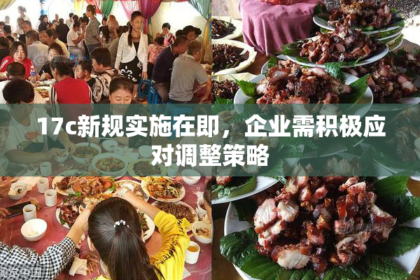17c新规实施在即，企业需积极应对调整策略