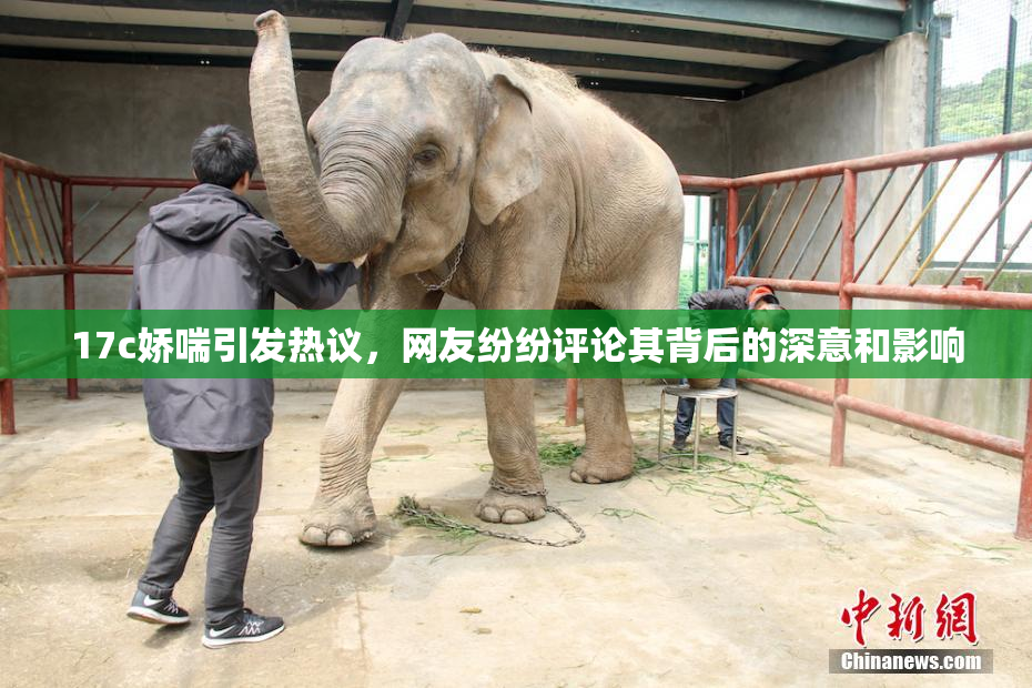 17c娇喘引发热议，网友纷纷评论其背后的深意和影响
