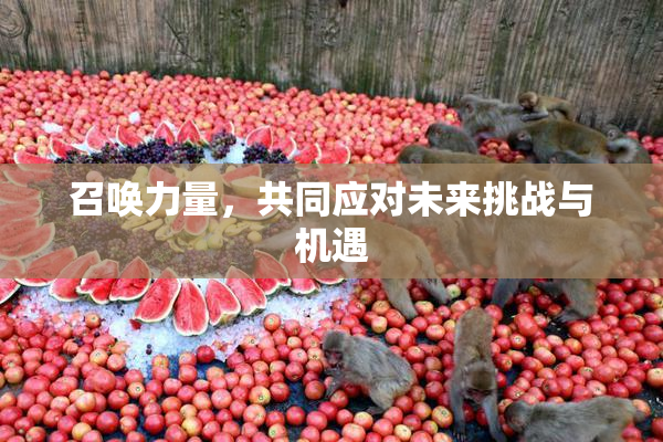 召唤力量，共同应对未来挑战与机遇