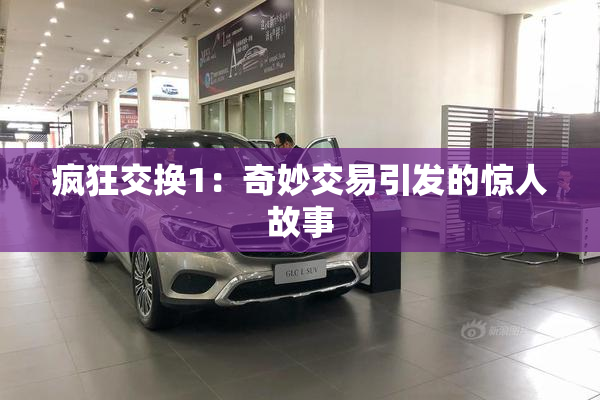 疯狂交换1：奇妙交易引发的惊人故事
