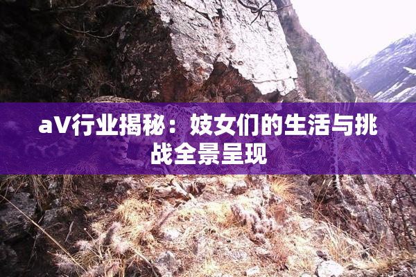 aV行业揭秘：妓女们的生活与挑战全景呈现