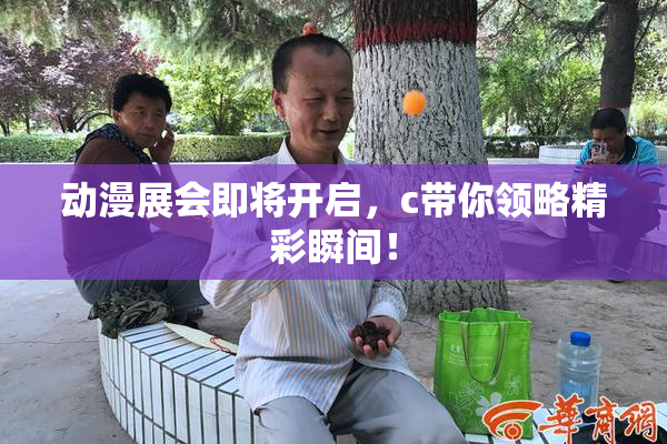 动漫展会即将开启，c带你领略精彩瞬间！