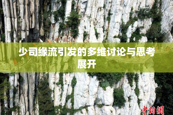 少司缘流引发的多维讨论与思考展开