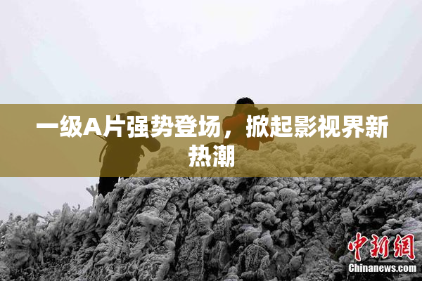 一级A片强势登场，掀起影视界新热潮