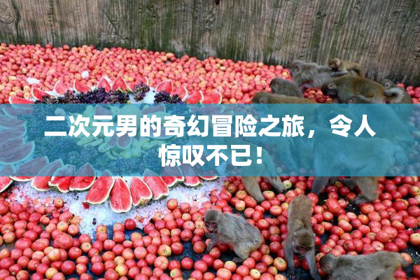 二次元男的奇幻冒险之旅，令人惊叹不已！