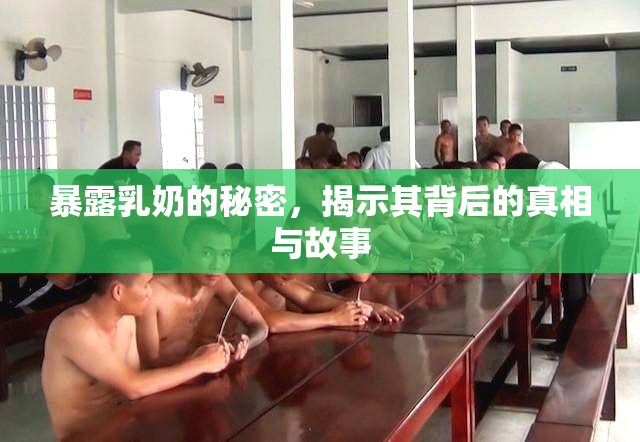 暴露乳奶的秘密，揭示其背后的真相与故事