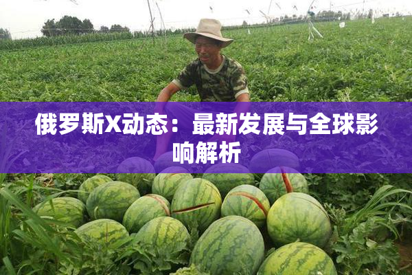 俄罗斯X动态：最新发展与全球影响解析