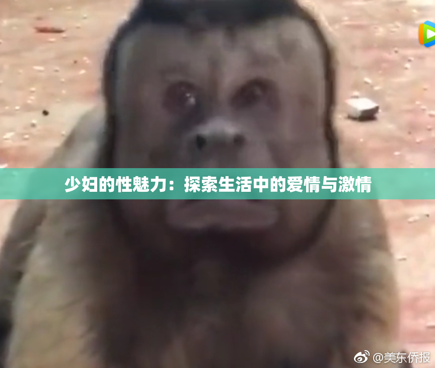 少妇的性魅力：探索生活中的爱情与激情