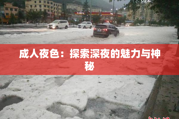 成人夜色：探索深夜的魅力与神秘