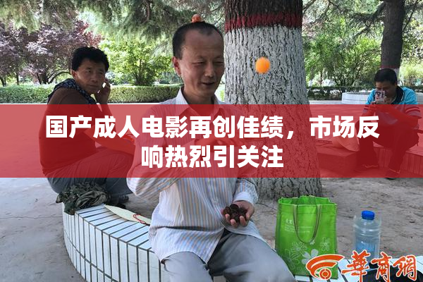 国产成人电影再创佳绩，市场反响热烈引关注