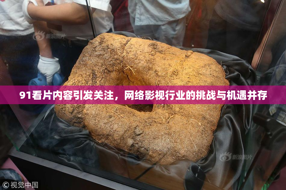 91看片内容引发关注，网络影视行业的挑战与机遇并存