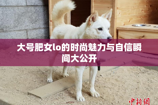 大号肥女lo的时尚魅力与自信瞬间大公开