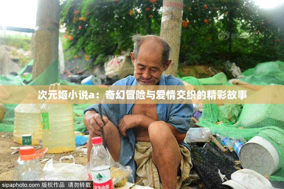 次元姬小说a：奇幻冒险与爱情交织的精彩故事