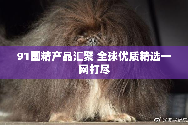 91国精产品汇聚 全球优质精选一网打尽