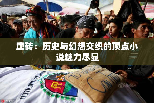 唐砖：历史与幻想交织的顶点小说魅力尽显