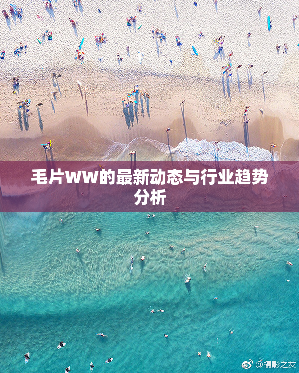 毛片WW的最新动态与行业趋势分析