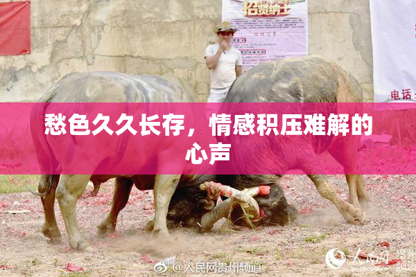 愁色久久长存，情感积压难解的心声