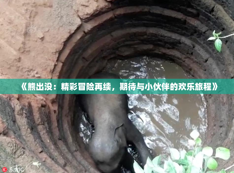 《熊出没：精彩冒险再续，期待与小伙伴的欢乐旅程》