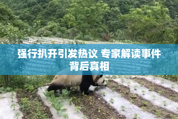 强行扒开引发热议 专家解读事件背后真相