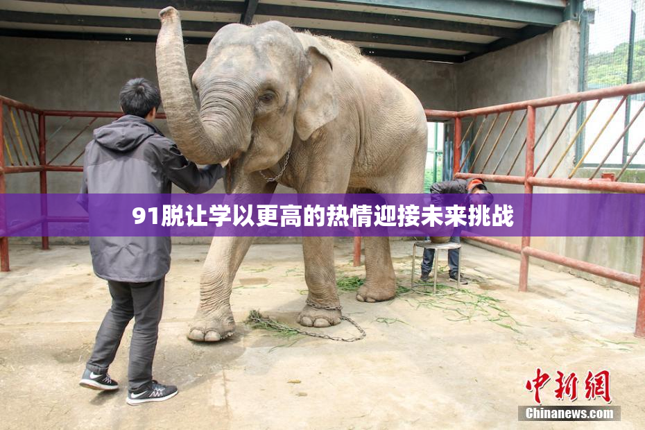 91脱让学以更高的热情迎接未来挑战