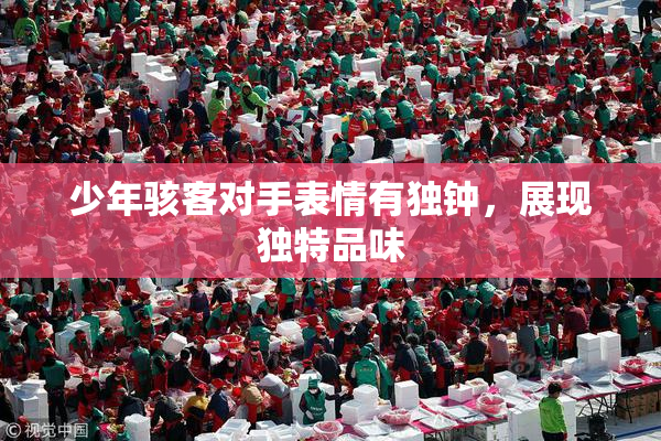 少年骇客对手表情有独钟，展现独特品味