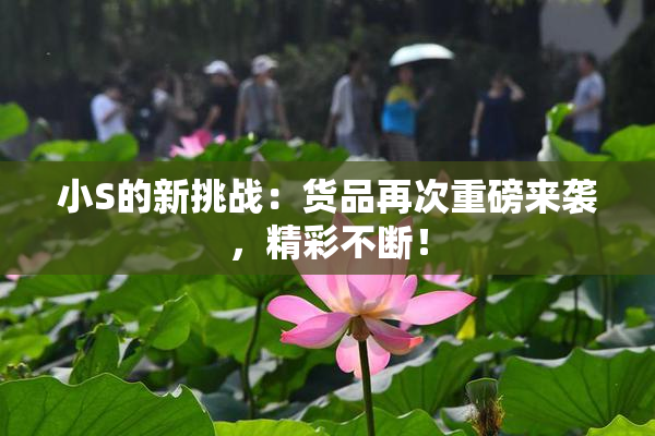 小S的新挑战：货品再次重磅来袭，精彩不断！