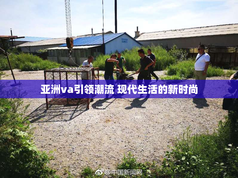亚洲va引领潮流 现代生活的新时尚